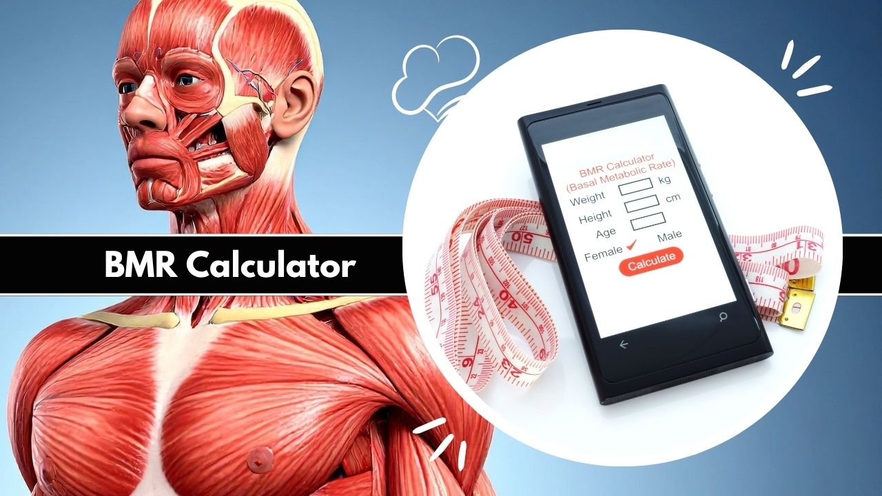 BMR Calculator