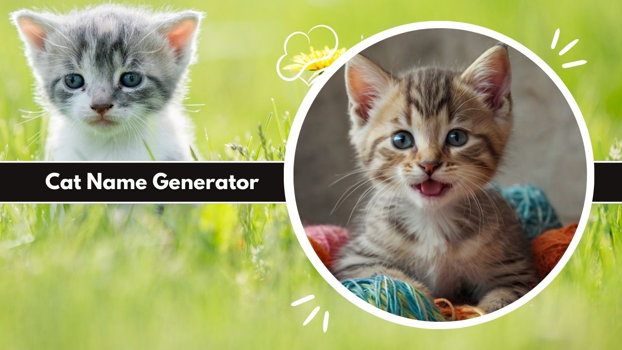 Cat Name Generator