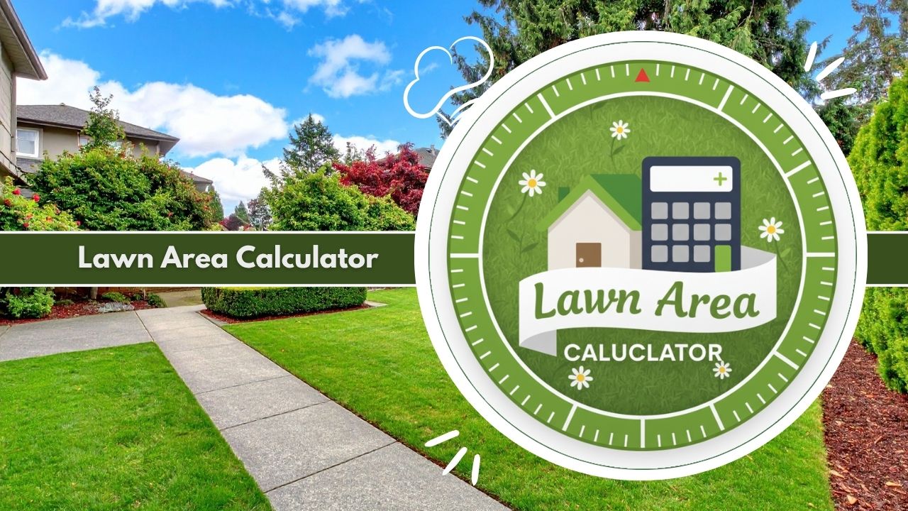 Lawn Area Calculator